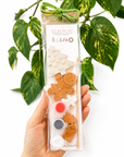 Kit creativ pictat ornamente Craciun