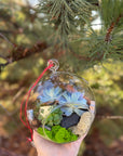Glob terariu cu plante suculente