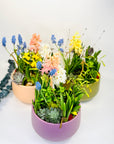 Aranjament floral cu flori de primăvară la ghiveci