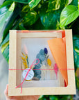 Martisor tablou cu flori prezervate - flori naturale