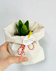 Martisor bulb de zambila în saculet textil