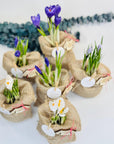 Martisor brandusa la ghiveci cu martisor IE - lemn