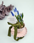 Muscari in ceasca de ceramica