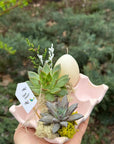 Suport de oua din piatra decorat cu plante suculente - plante suculente