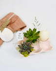 Suport de oua din piatra decorat cu plante suculente - materiale naturale