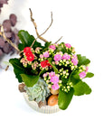 Aranjament de Paste Kalanchoe - lemn