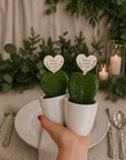 Marturie planta inima Hoya