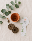 Marturie mini kit de plantat cu ghiveci de ceramica si seminte de flori