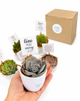 Planta suculenta cadou cu mesaj persoanlizat