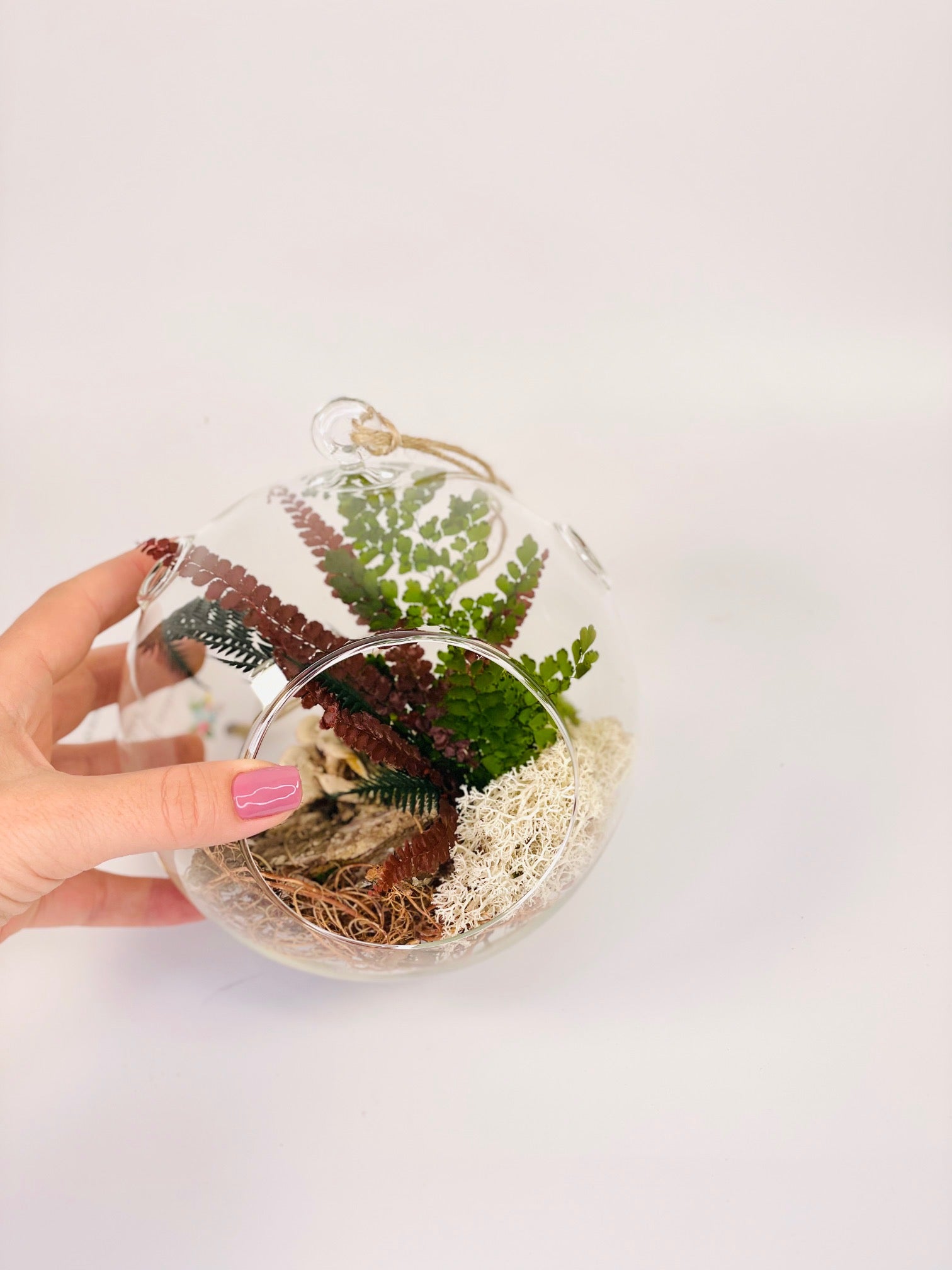 Terariu glob cu plante prezervate