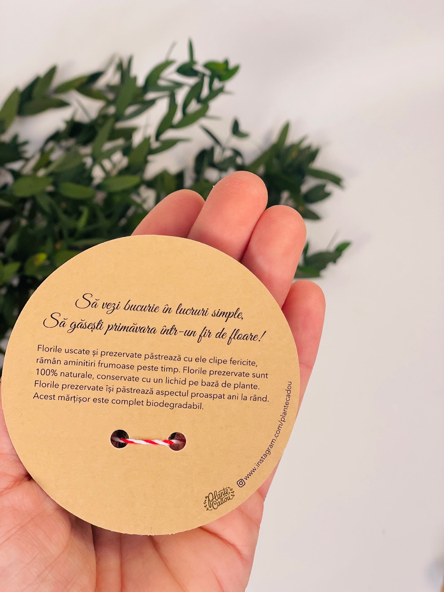 Martisor sticluta cu flori uscate si prezervate - eveniment
