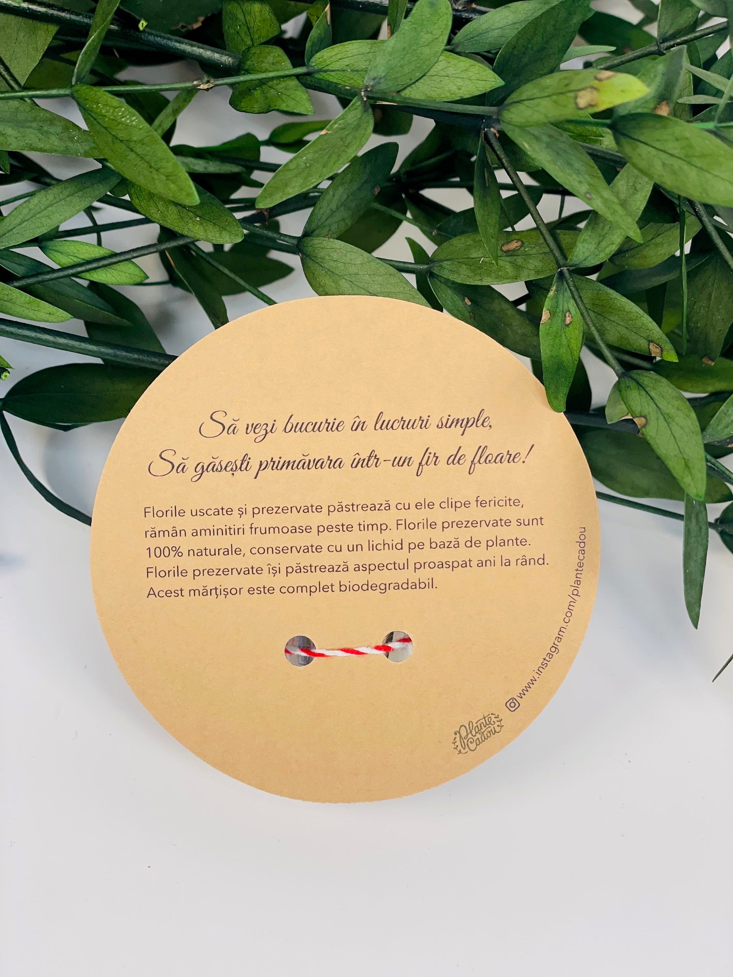 Martisor sticluta cu flori uscate si prezervate - primavara