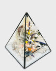 Terariu piramida cu flori prezervate