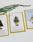 Felicitare plantabila cu seminte de brad - personalizat