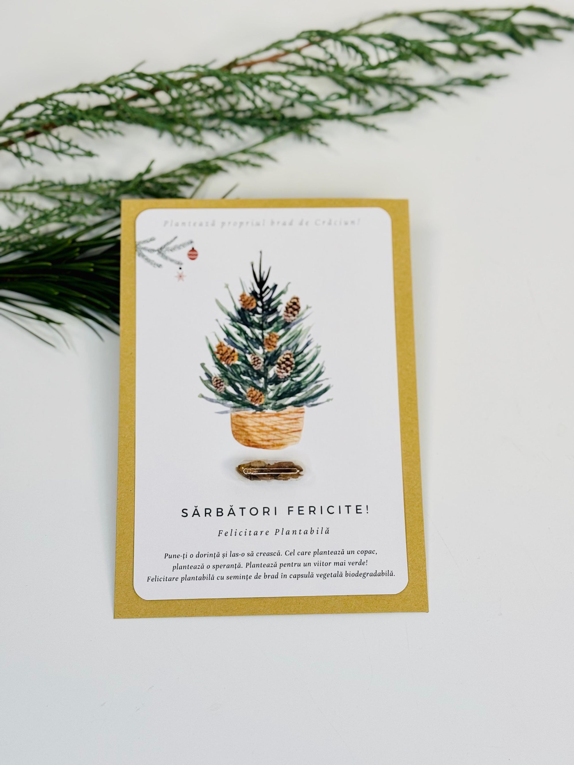 Felicitare plantabila de Craciun cu seminte de brad pe hartie reciclata eco-friendly