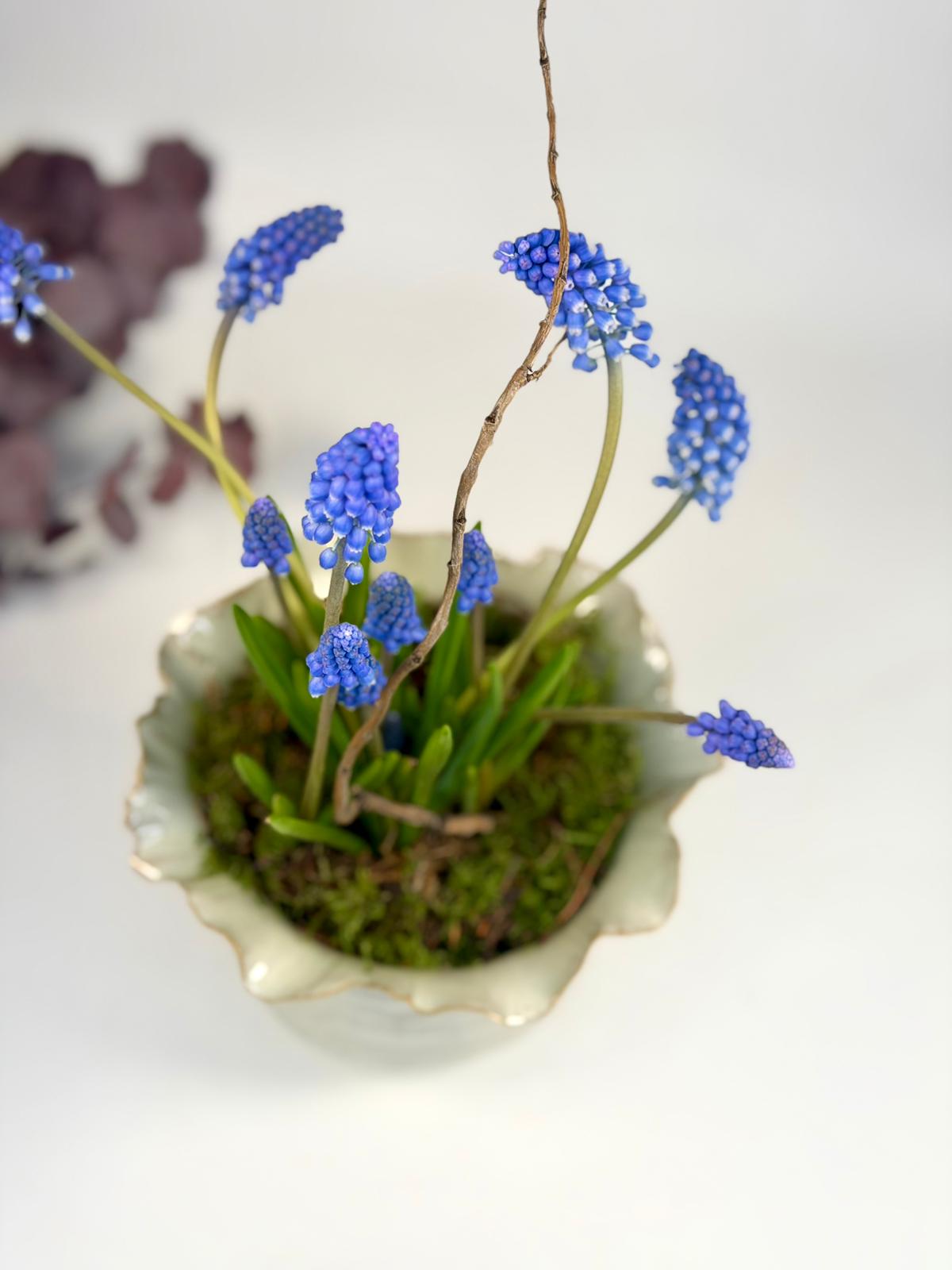 Ghiveci de ceramică diafan - Muscari - muschi natural