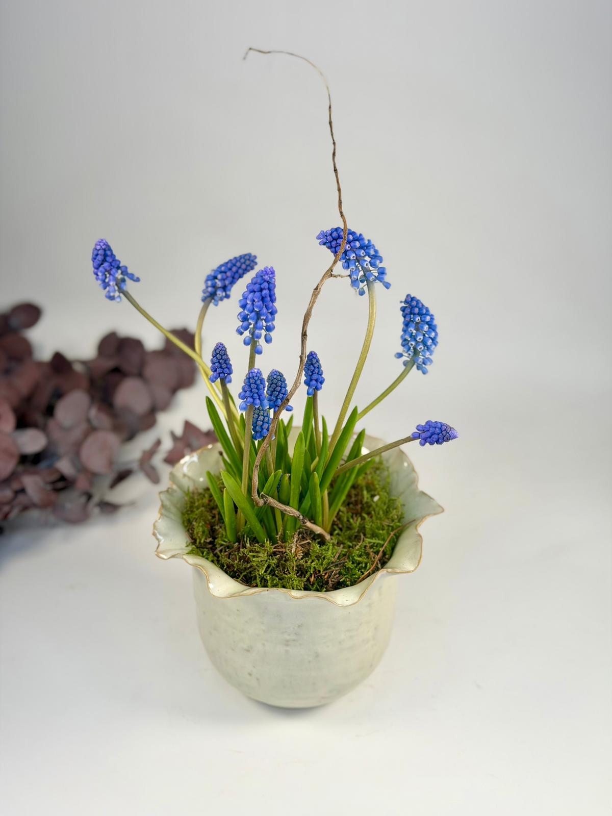 Ghiveci de ceramică diafan - Muscari
