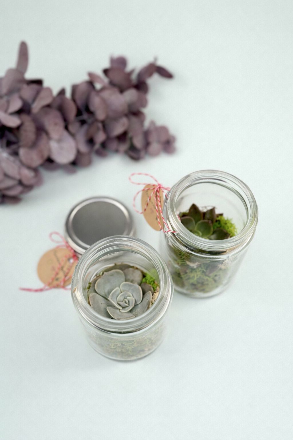 Mini terariu borcan cu suculenta - materiale naturale