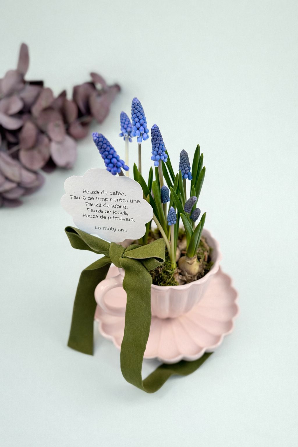 Muscari in ceasca de ceramica