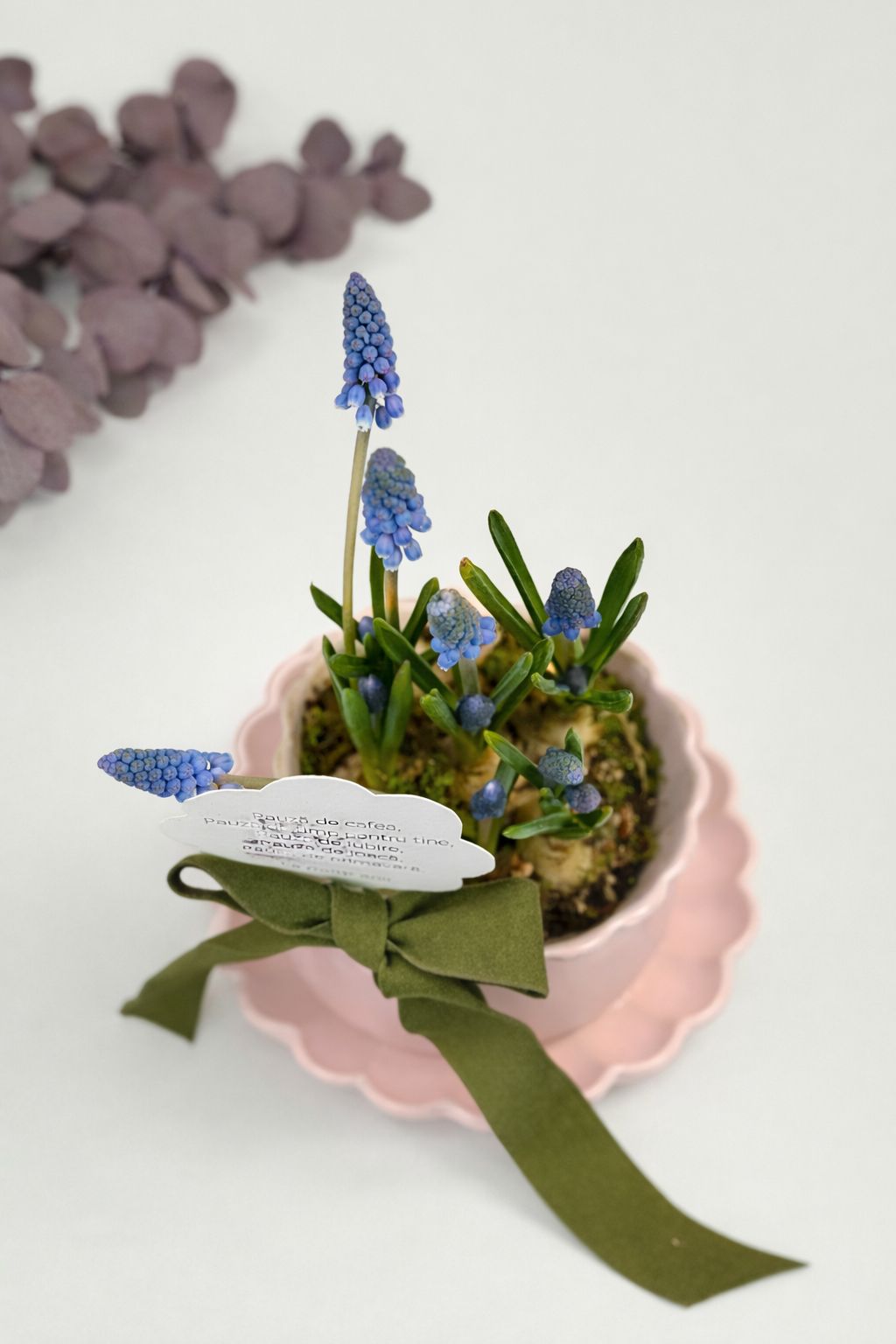 Muscari in ceasca de ceramica - ceramica