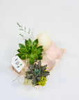 Suport de oua din piatra decorat cu plante suculente
