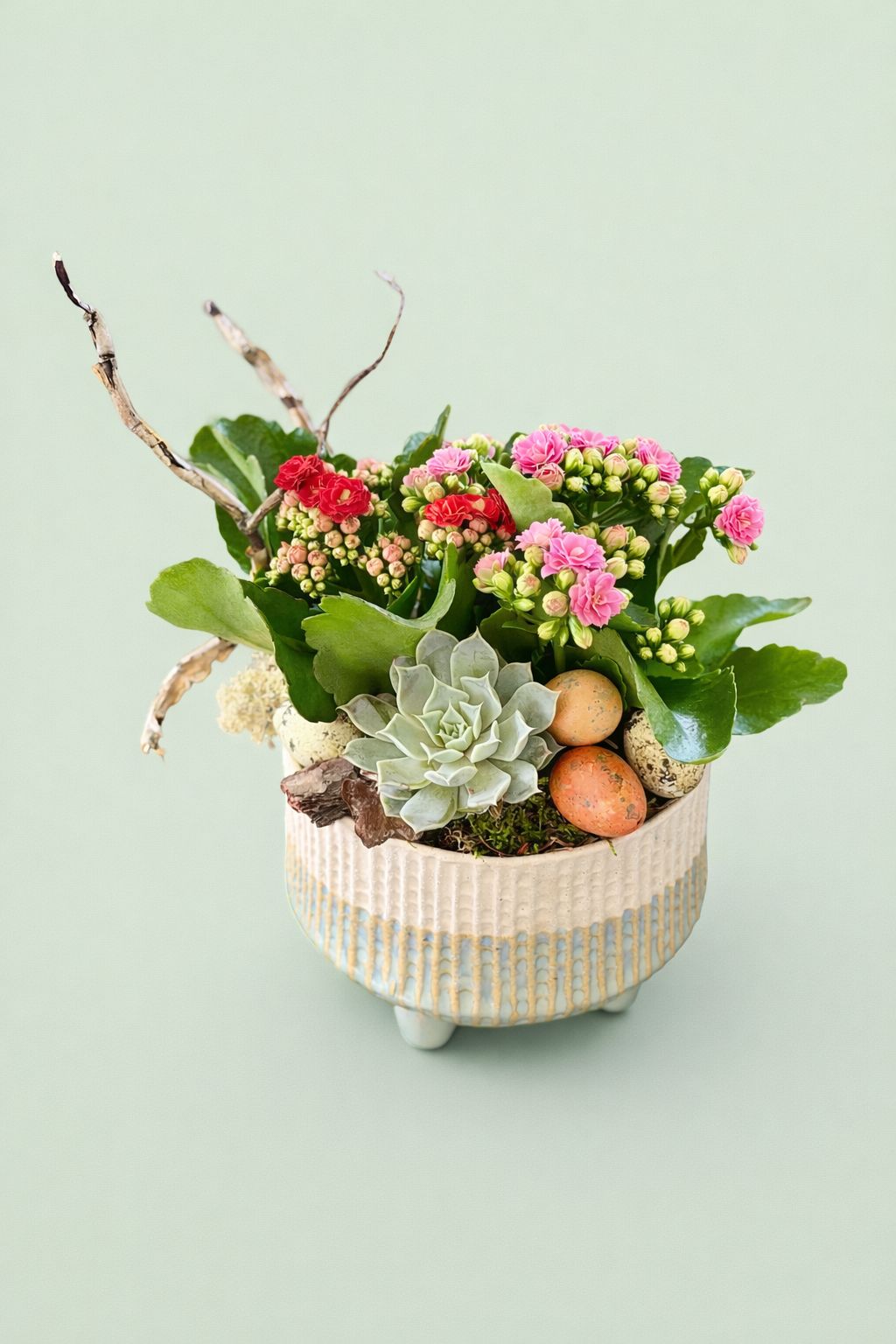 Aranjament de Paste Kalanchoe