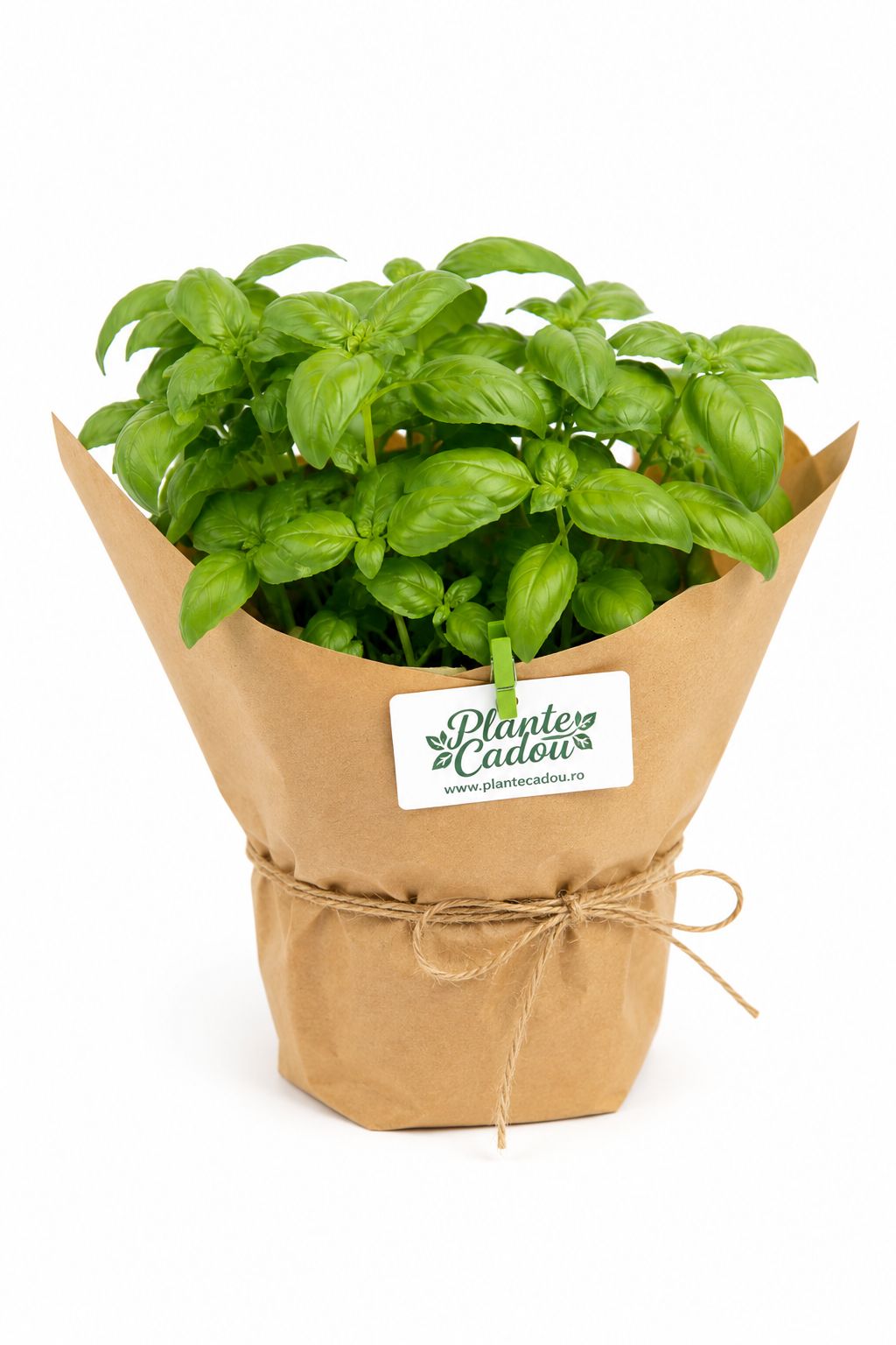 Mix Plante Aromatice Marturii