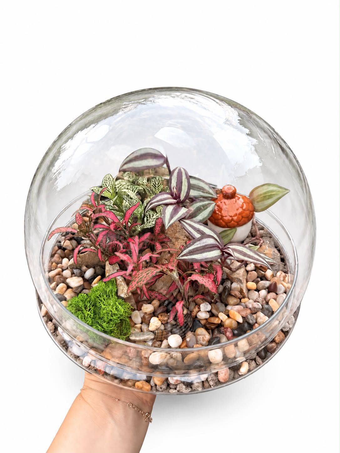 Terariu inchis autonom glob din sticla cu Fittonia si Tradescantia
