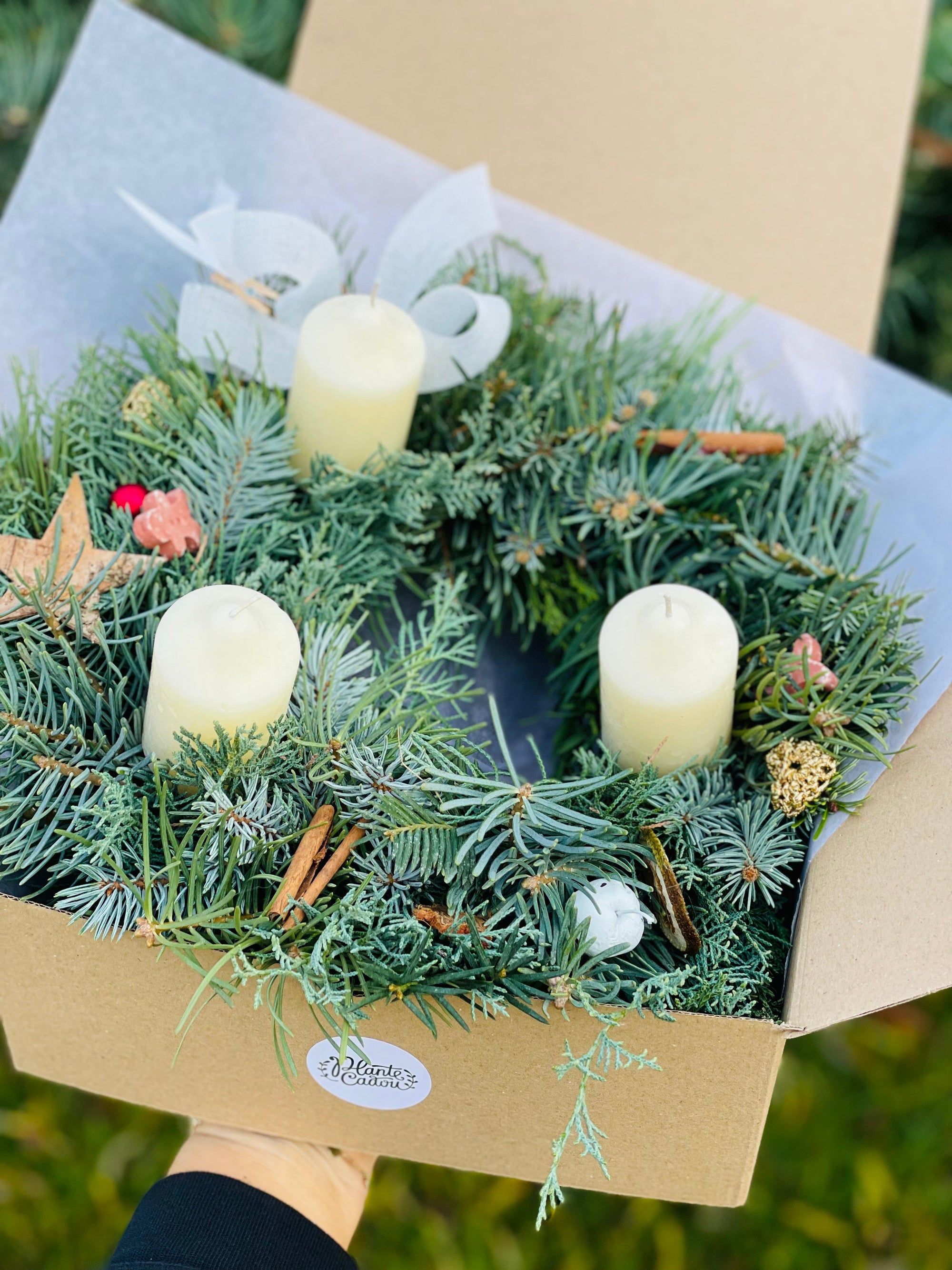 Coronita Craciun cu 3 lumanari