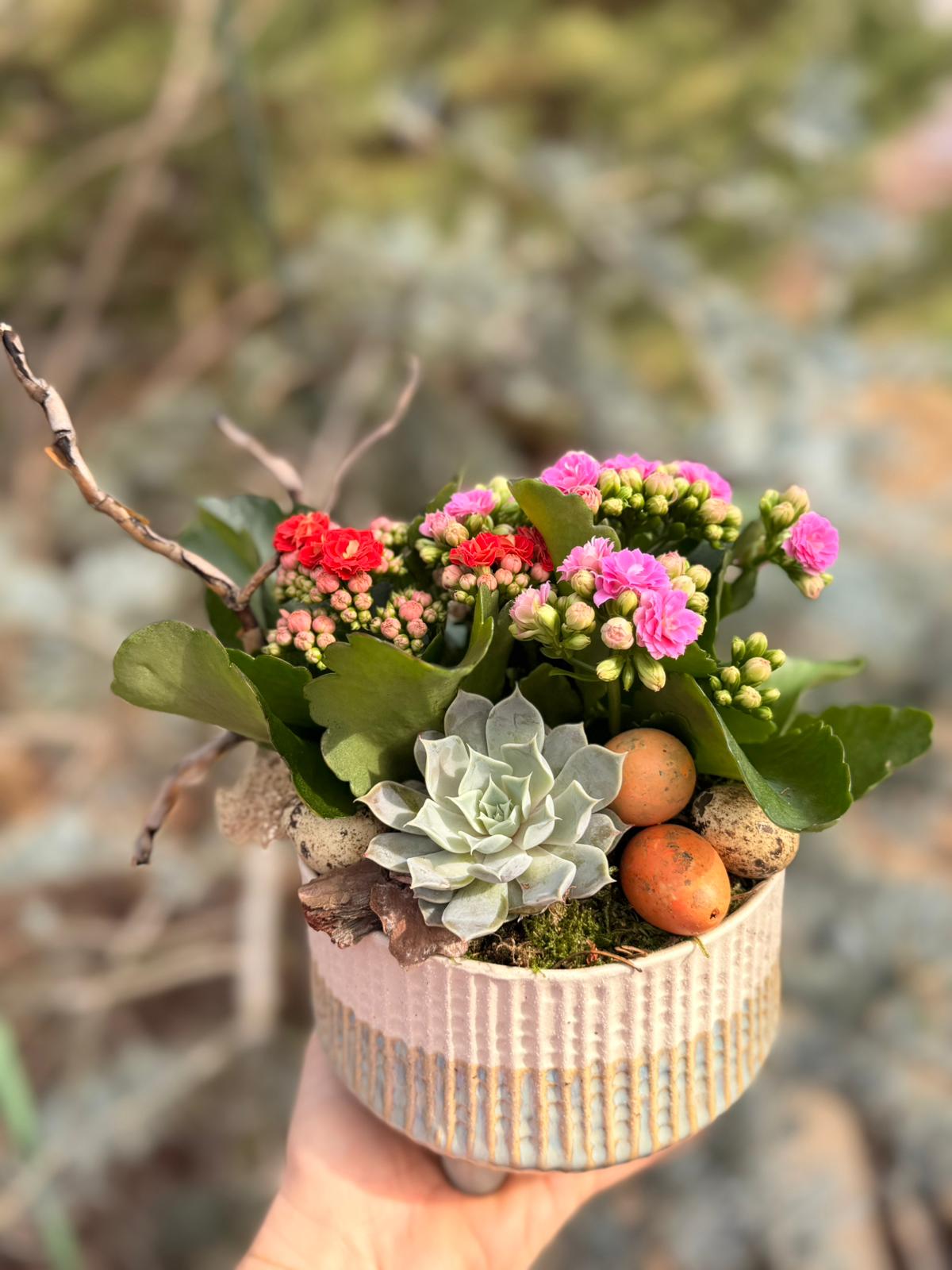 Aranjament de Paste Kalanchoe - muschi natural