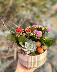 Aranjament de Paste Kalanchoe - muschi natural