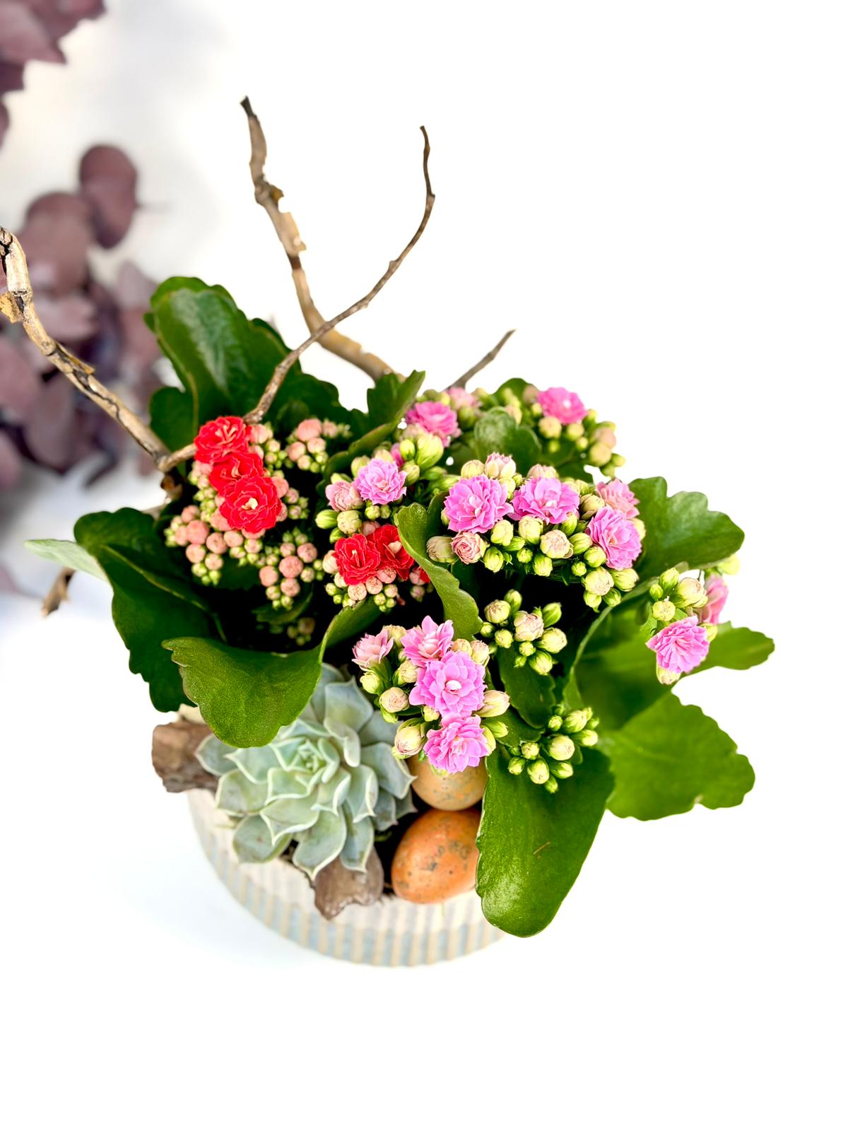 Aranjament de Paste Kalanchoe - lemn