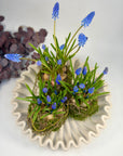Aranjament muscari Kokedama pe vas de ceramica