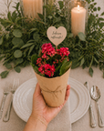 Flori marturii de nunta si botez Kalanchoe Calandiva in ambalaj kraft