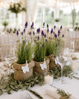 Lavanda in ghiveci marturii nunta si botez