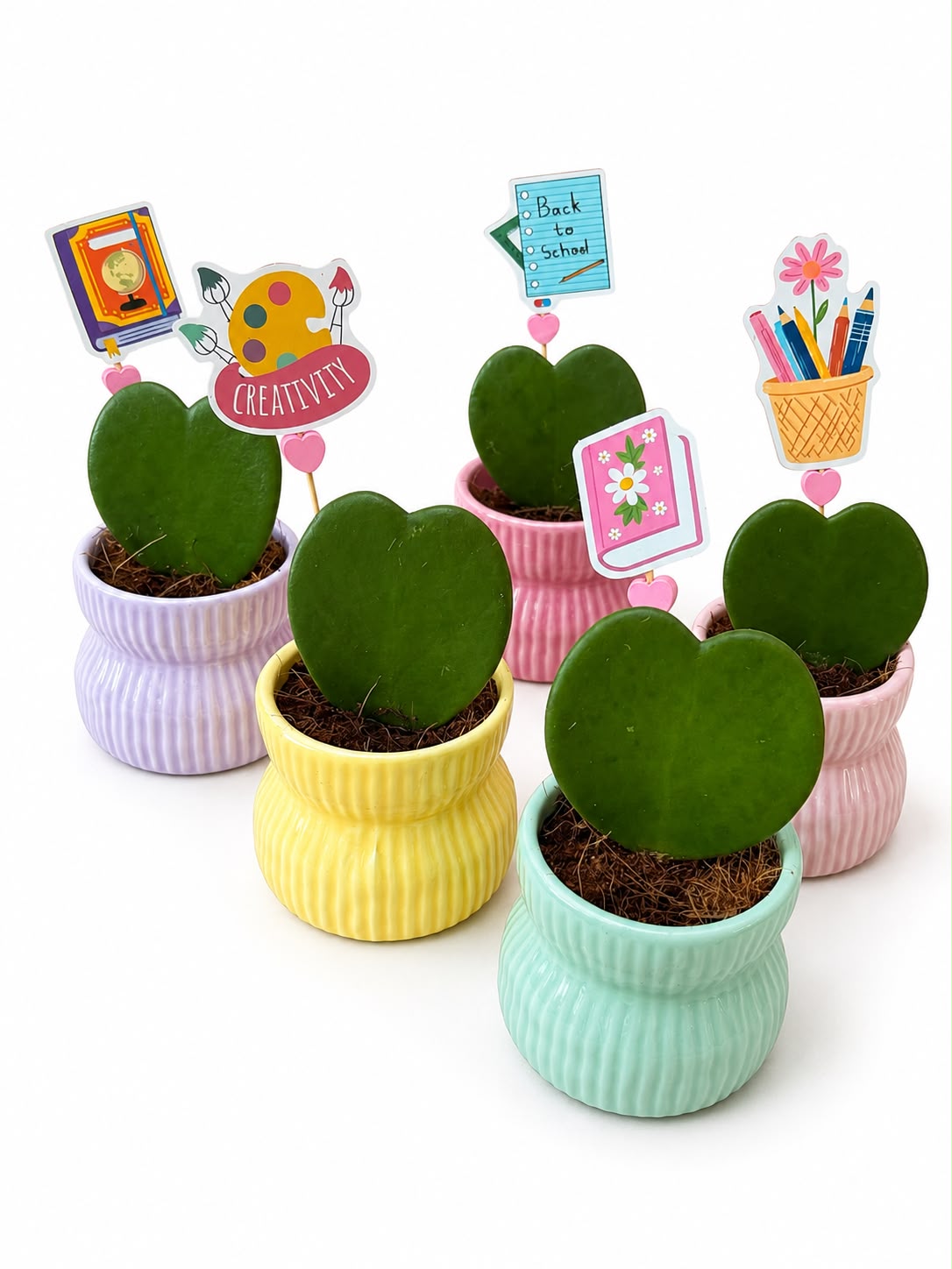 Collection Image
